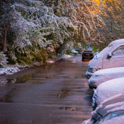 2560 0770 P1090202 Nr