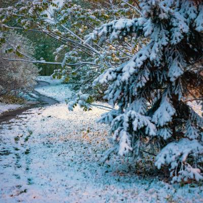 2560 0790 P1090229 Nr