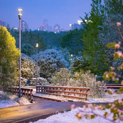 2560 0810 P1090257 Nr