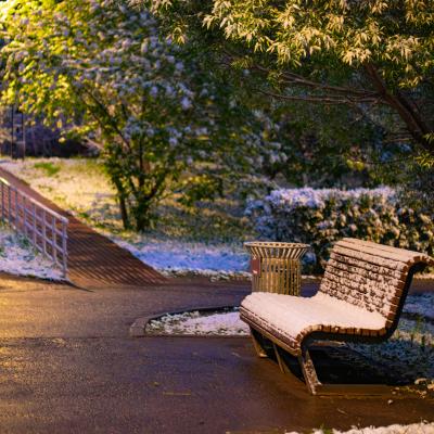 2560 0830 P1090290 Nr