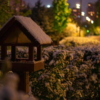 2560 0900 P1090410 Nr