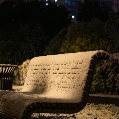 2560 0910 P1090448 Nr