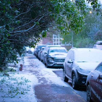 Майский снег