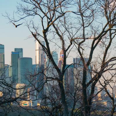 1950 0400 P1080525 Nr