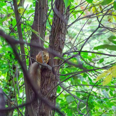 2560 0040 1170392 Nr