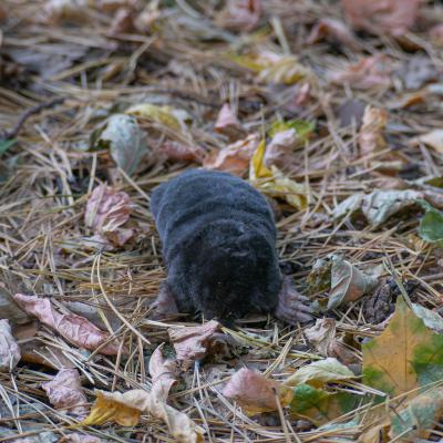 2560 0080 1190893 Nr