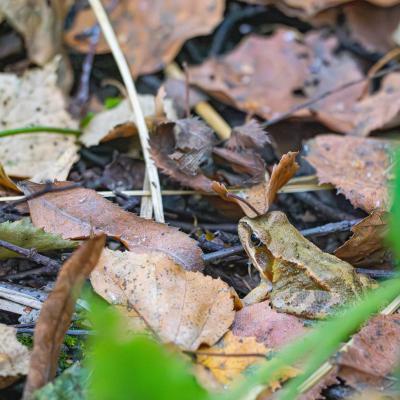 2560 0120 1180838 Nr