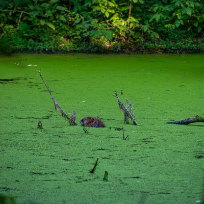 2560 0270 1140490 Nr