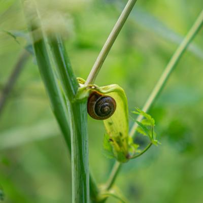 2560 0670 1140818 Nr